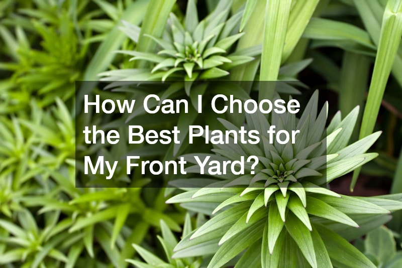 How Can I Choose the Best Plants for My Front Yard?