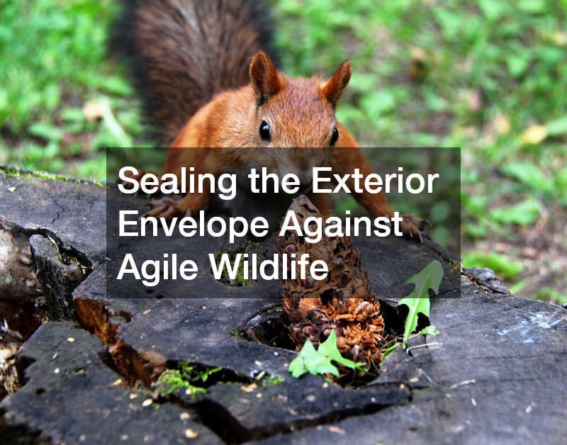 Sealing the Exterior Envelope Against Agile Wildlife