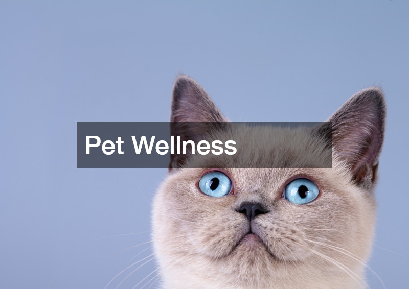 Pet Wellness