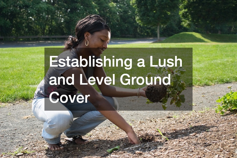 Establishing a Lush and Level Ground Cover