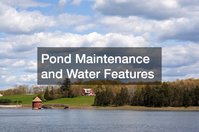 Pond Maintenance and Water Features