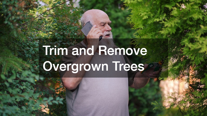 Trim and Remove Overgrown Trees