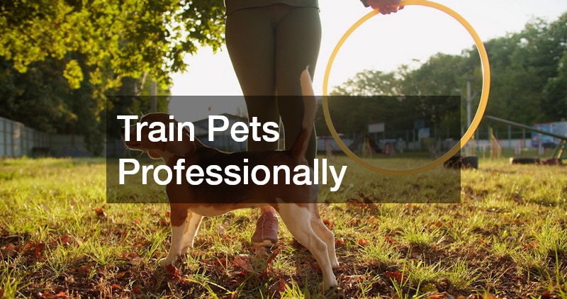 Train Pets Professionally