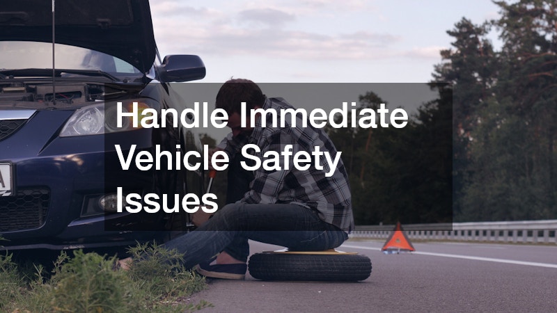 Handle Immediate Vehicle Safety Issues