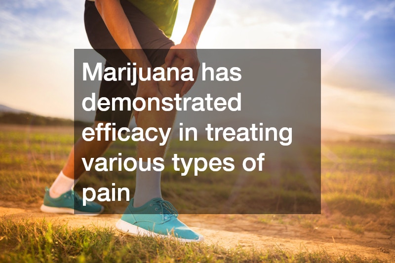 Marijuana has demonstrated efficacy in treating various types of pain