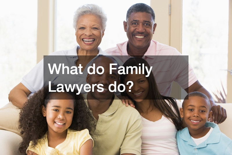 What do Family Lawyers do?