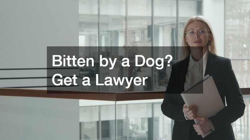 Bitten by a Dog? Get a Lawyer