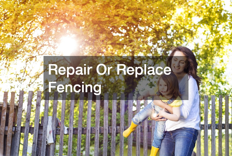 Repair Or Replace Fencing