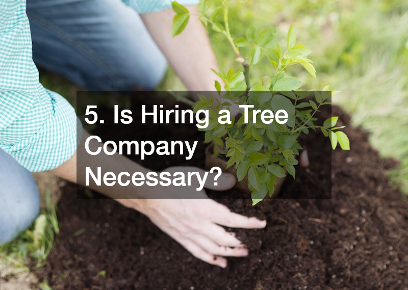 5. Is Hiring a Tree Company Necessary?