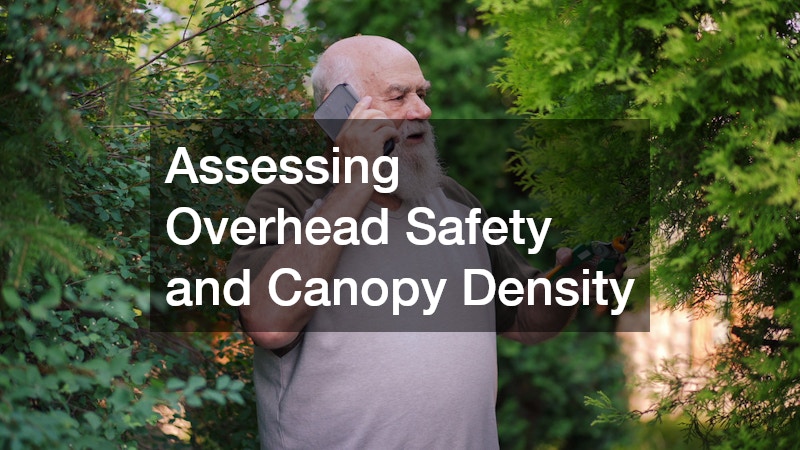 Assessing Overhead Safety and Canopy Density