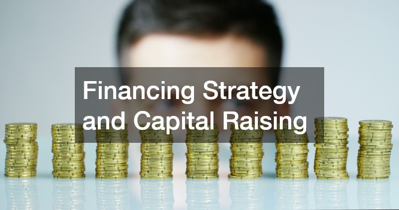 Financing Strategy and Capital Raising