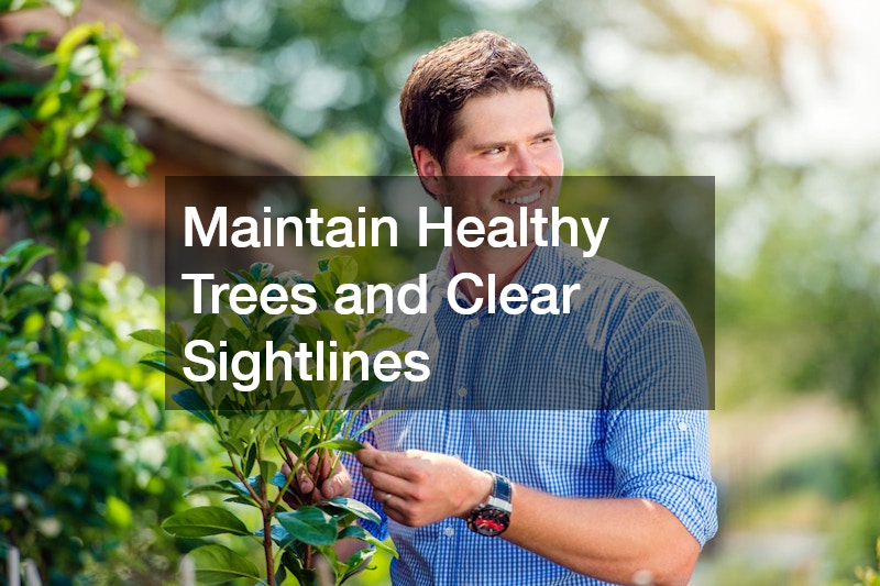 Maintain Healthy Trees and Clear Sightlines