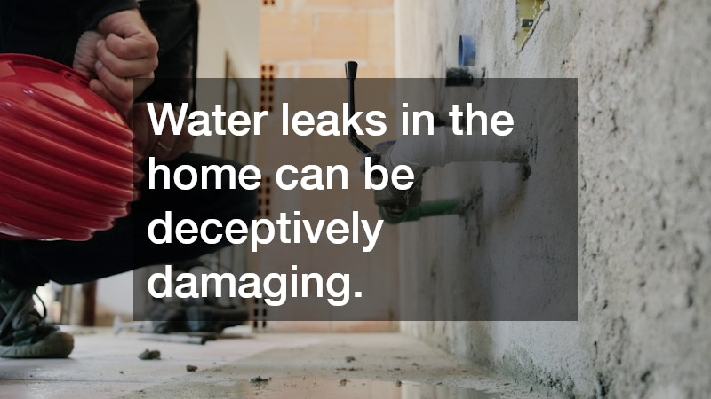 Water leaks in the home can be deceptively damaging.