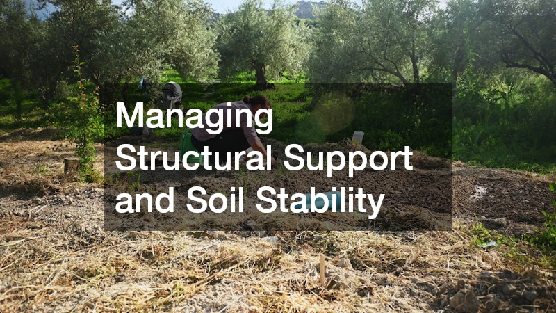 Managing Structural Support and Soil Stability