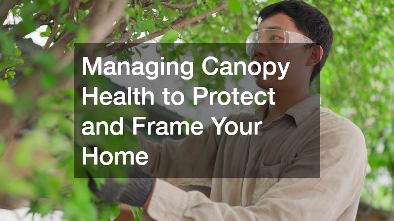 Managing Canopy Health to Protect and Frame Your Home