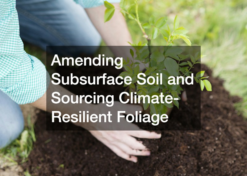 Amending Subsurface Soil and Sourcing Climate-Resilient Foliage