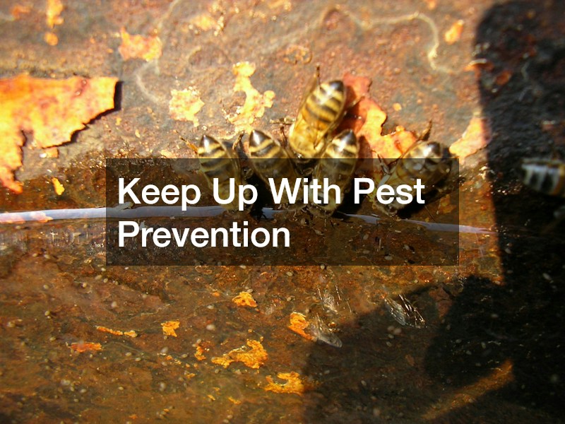 Keep Up With Pest Prevention