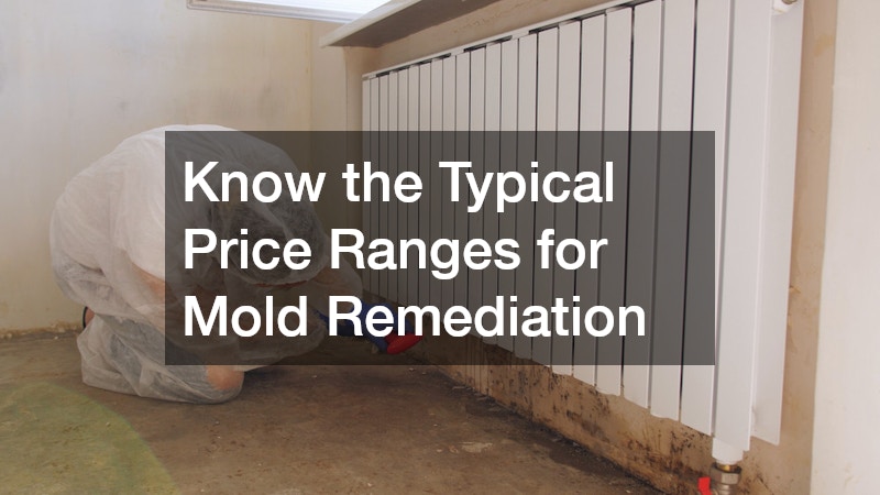 Know the Typical Price Ranges for Mold Remediation