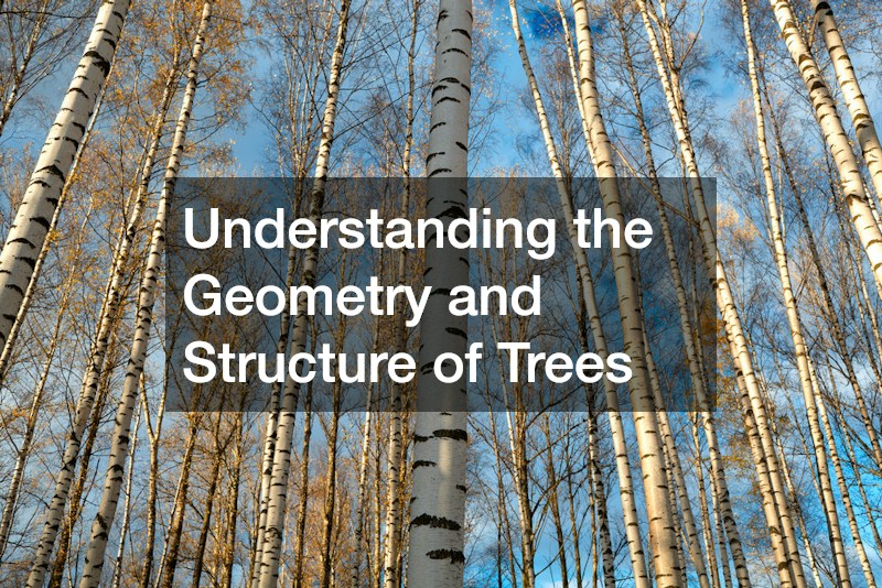 Understanding the Geometry and Structure of Trees