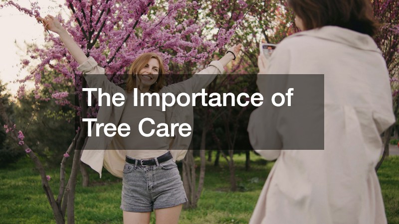 The Importance of Tree Care