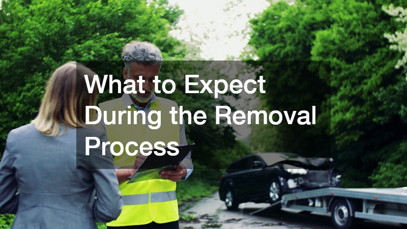 What to Expect During the Removal Process