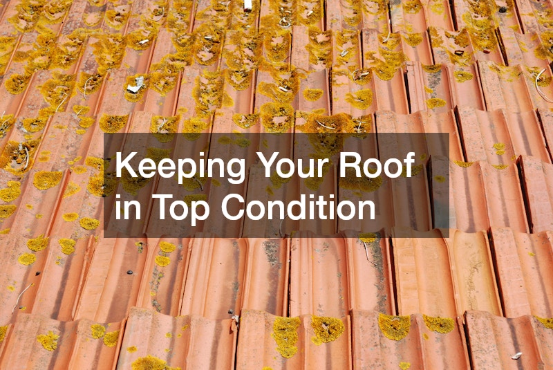 Keeping Your Roof in Top Condition