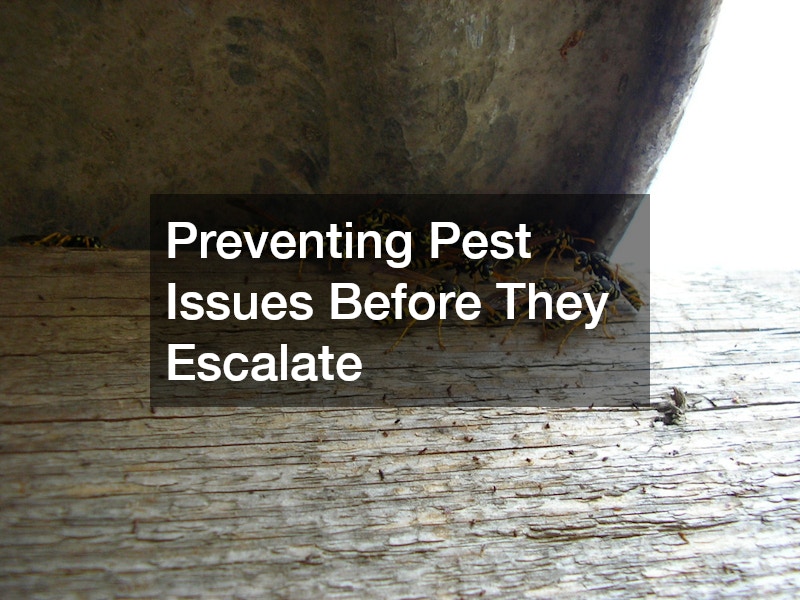 Preventing Pest Issues Before They Escalate