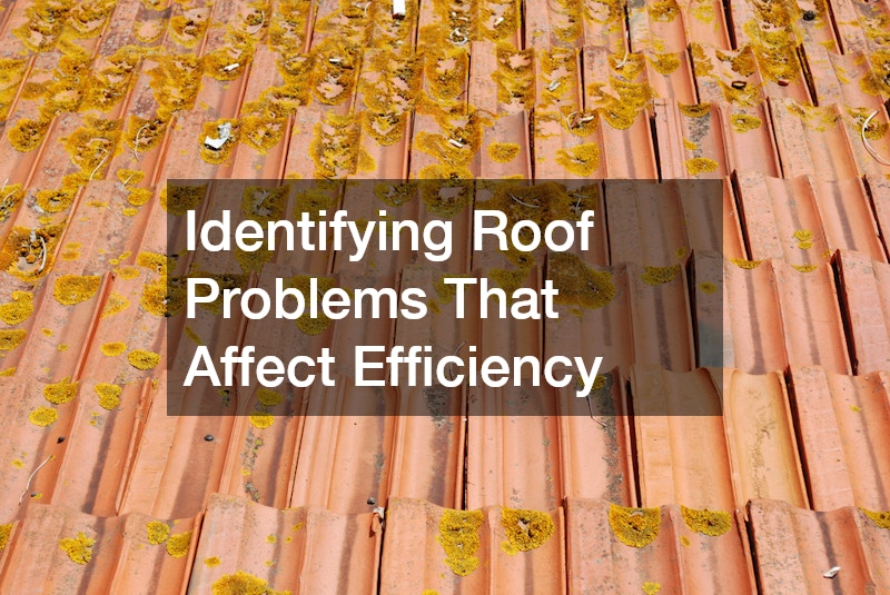Identifying Roof Problems That Affect Efficiency