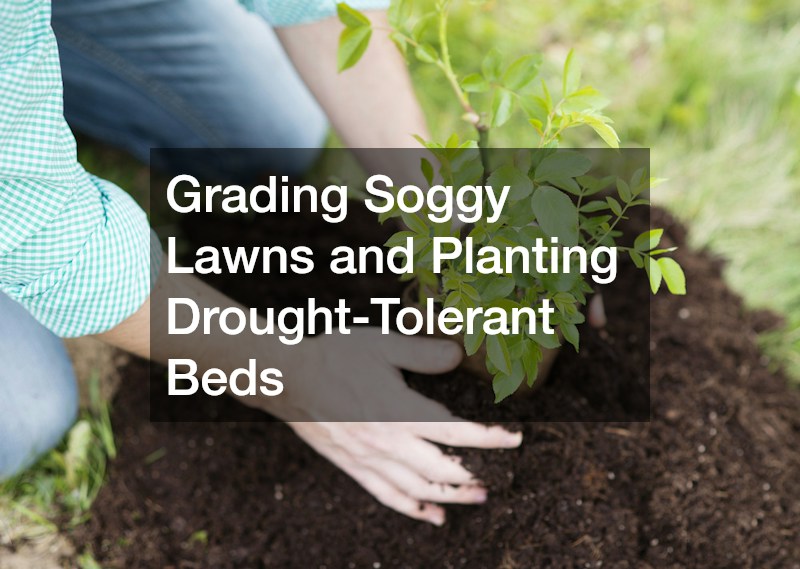 Grading Soggy Lawns and Planting Drought-Tolerant Beds