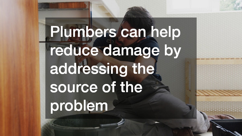 Plumbers can help reduce damage by addressing the source of the problem