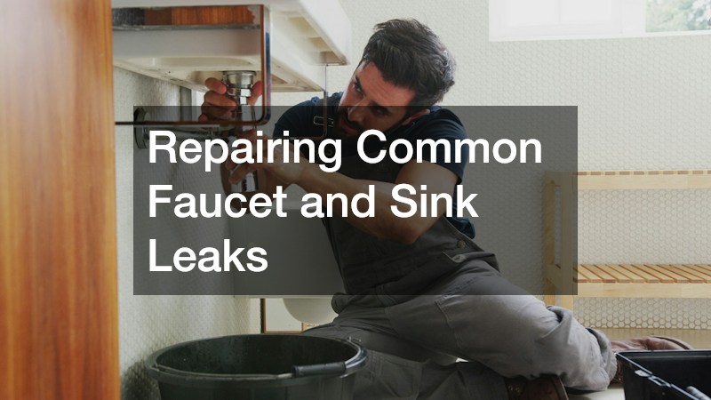 Repairing Common Faucet and Sink Leaks