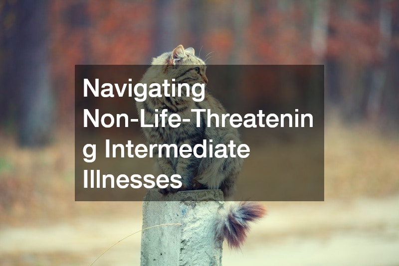 Navigating Non-Life-Threatening Intermediate Illnesses