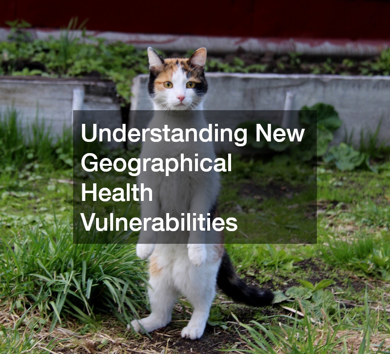 Understanding New Geographical Health Vulnerabilities