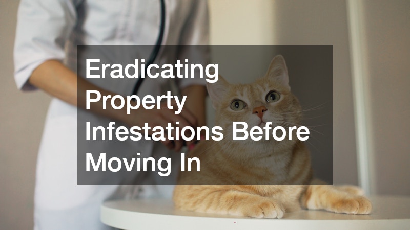 Eradicating Property Infestations Before Moving In