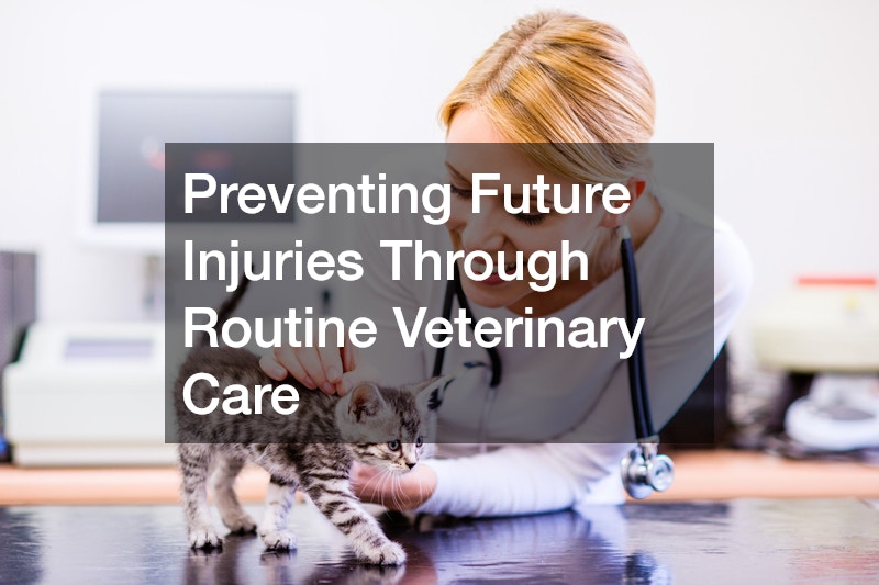 Preventing Future Injuries Through Routine Veterinary Care