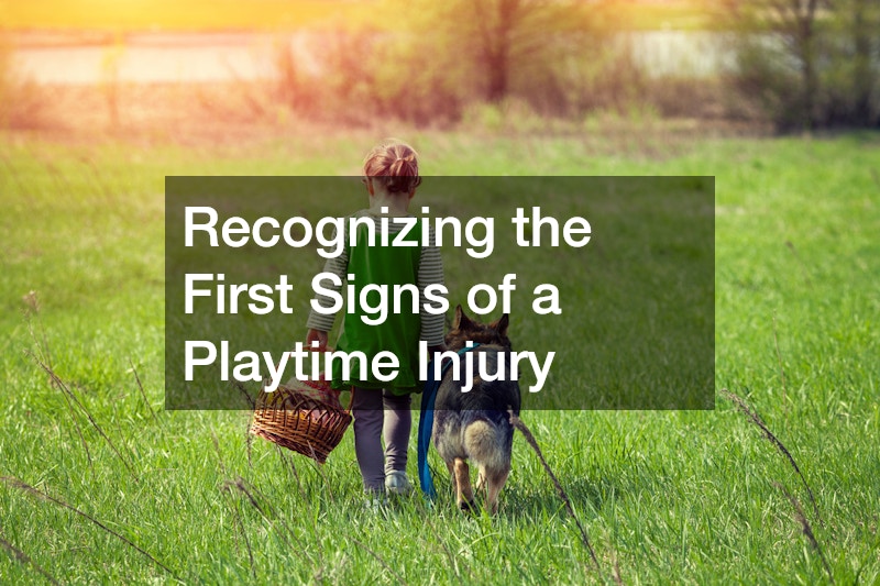 Recognizing the First Signs of a Playtime Injury