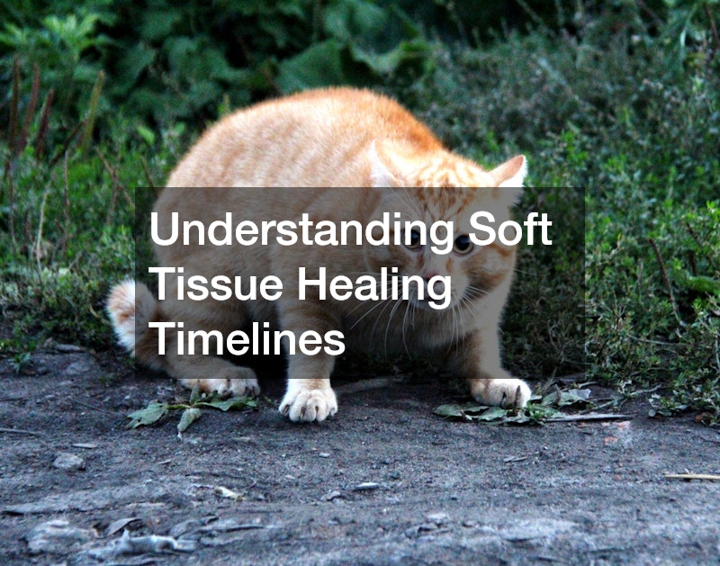 Understanding Soft Tissue Healing Timelines