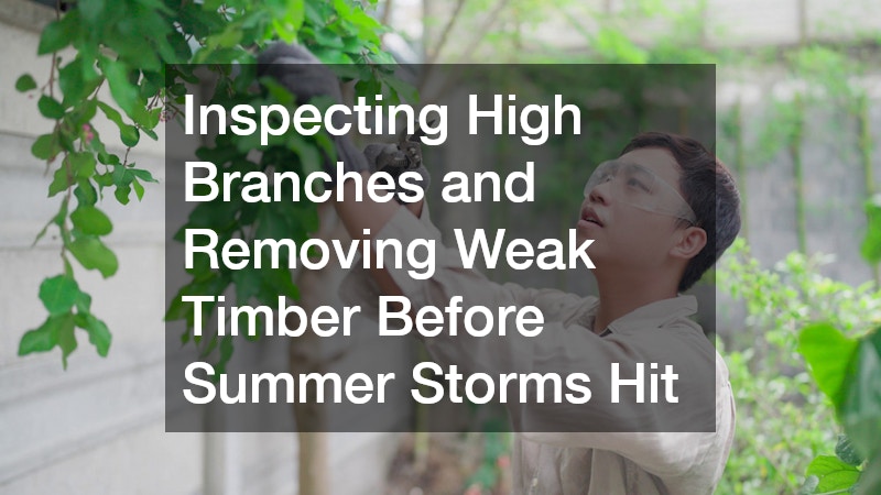 Inspecting High Branches and Removing Weak Timber Before Summer Storms Hit