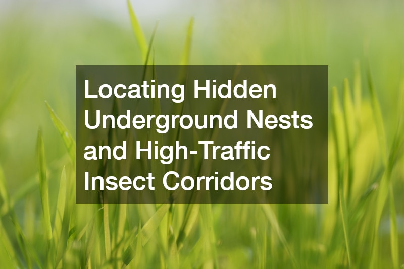 Locating Hidden Underground Nests and High-Traffic Insect Corridors