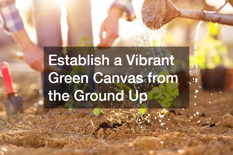 Establish a Vibrant Green Canvas from the Ground Up