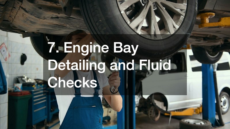 7. Engine Bay Detailing and Fluid Checks