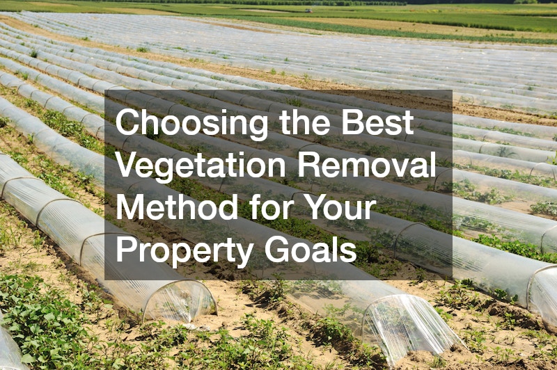 Choosing the Best Vegetation Removal Method for Your Property Goals