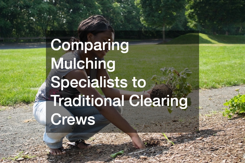 Comparing Mulching Specialists to Traditional Clearing Crews
