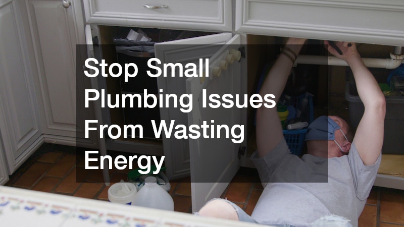 Stop Small Plumbing Issues From Wasting Energy