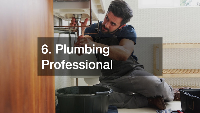 6. Plumbing Professional