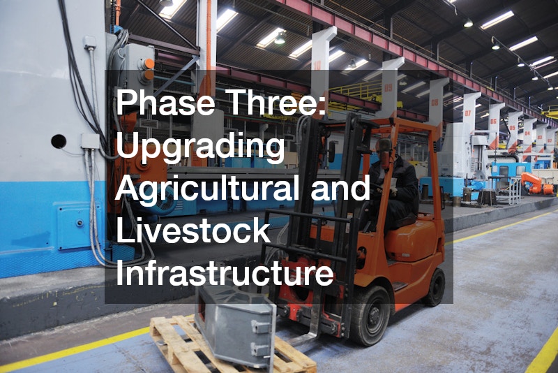 Phase Three: Upgrading Agricultural and Livestock Infrastructure