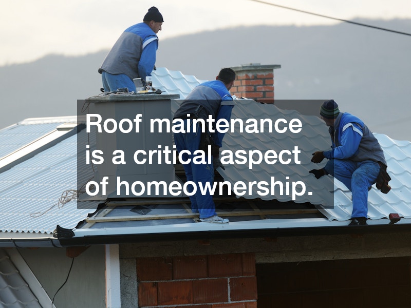 Roof maintenance is a critical aspect of homeownership.