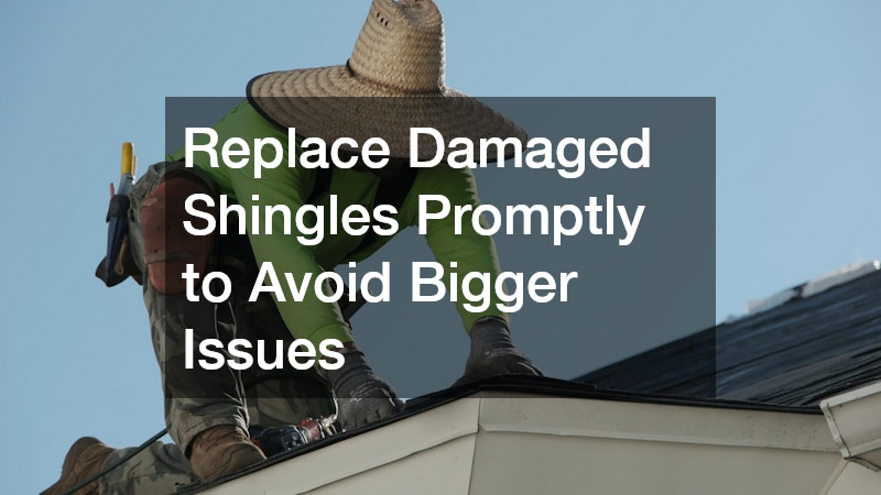 Replace Damaged Shingles Promptly to Avoid Bigger Issues