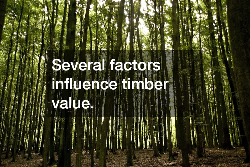 Several factors influence timber value.