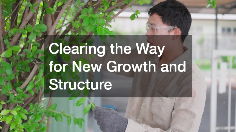 Clearing the Way for New Growth and Structure